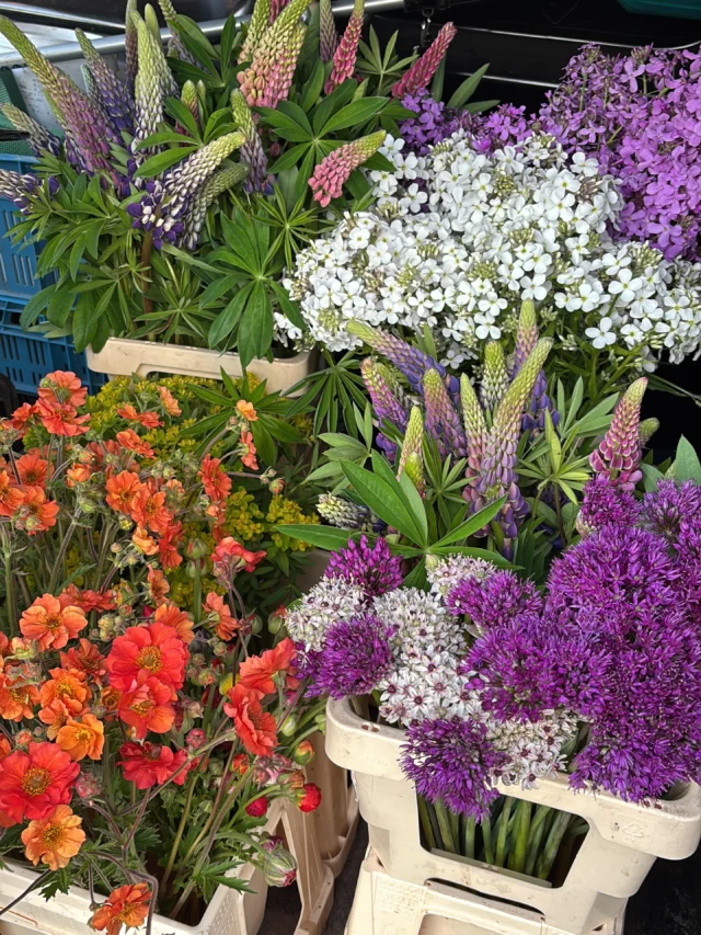 Tuin9 – Zutphen